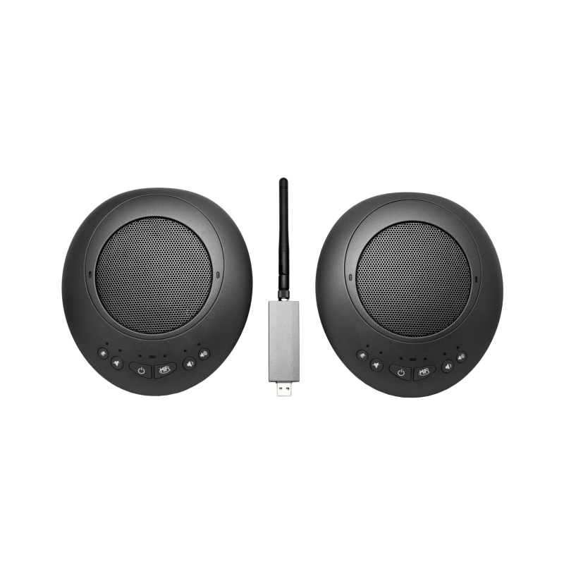 Wireless Mic & Speakeer